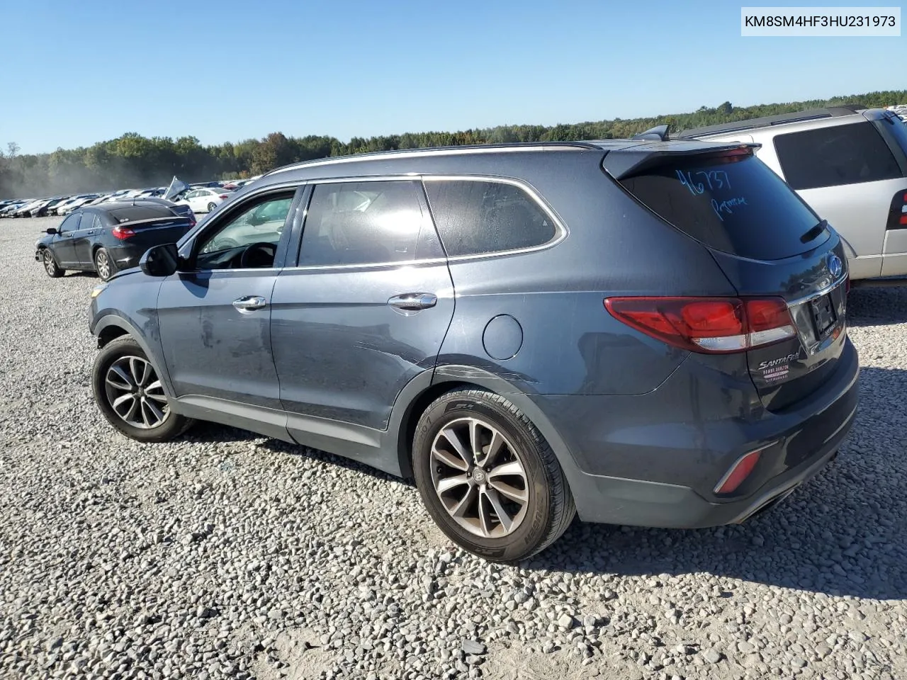 2017 Hyundai Santa Fe Se VIN: KM8SM4HF3HU231973 Lot: 76047524