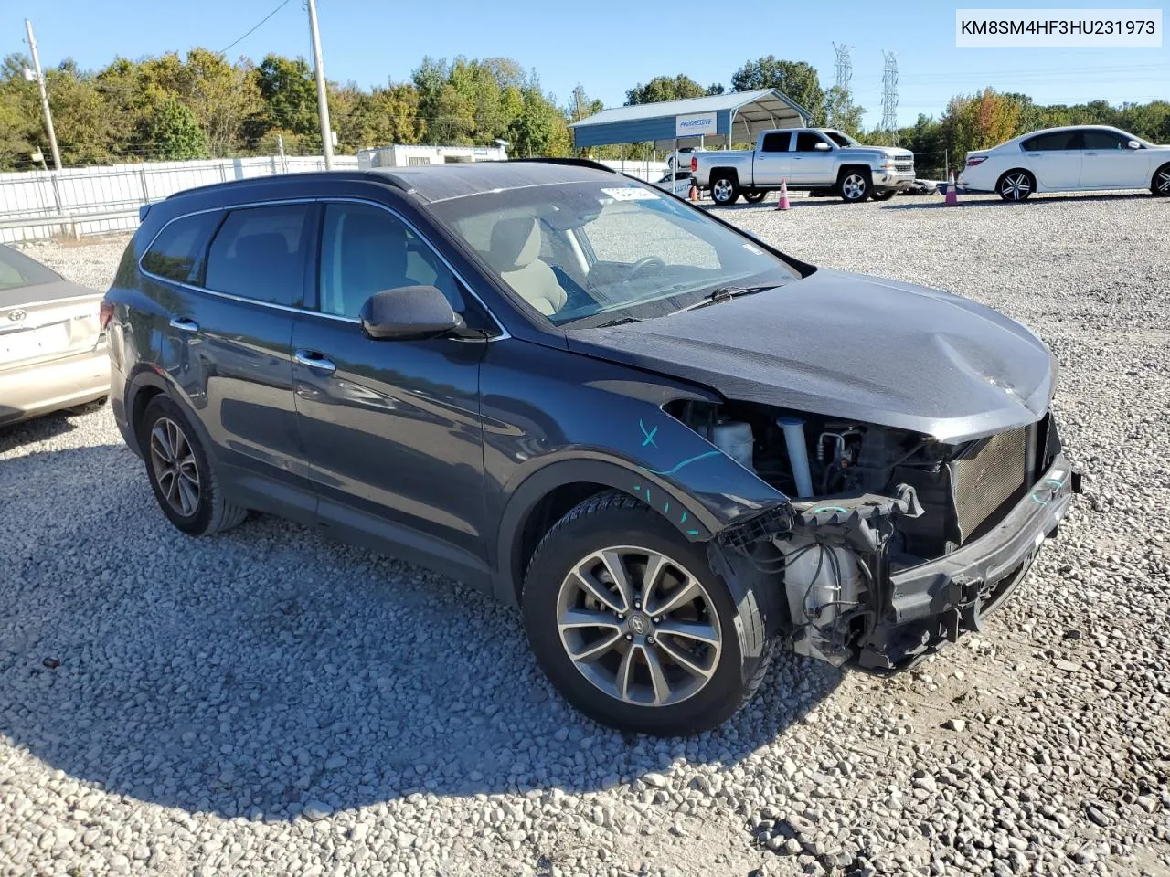 2017 Hyundai Santa Fe Se VIN: KM8SM4HF3HU231973 Lot: 76047524