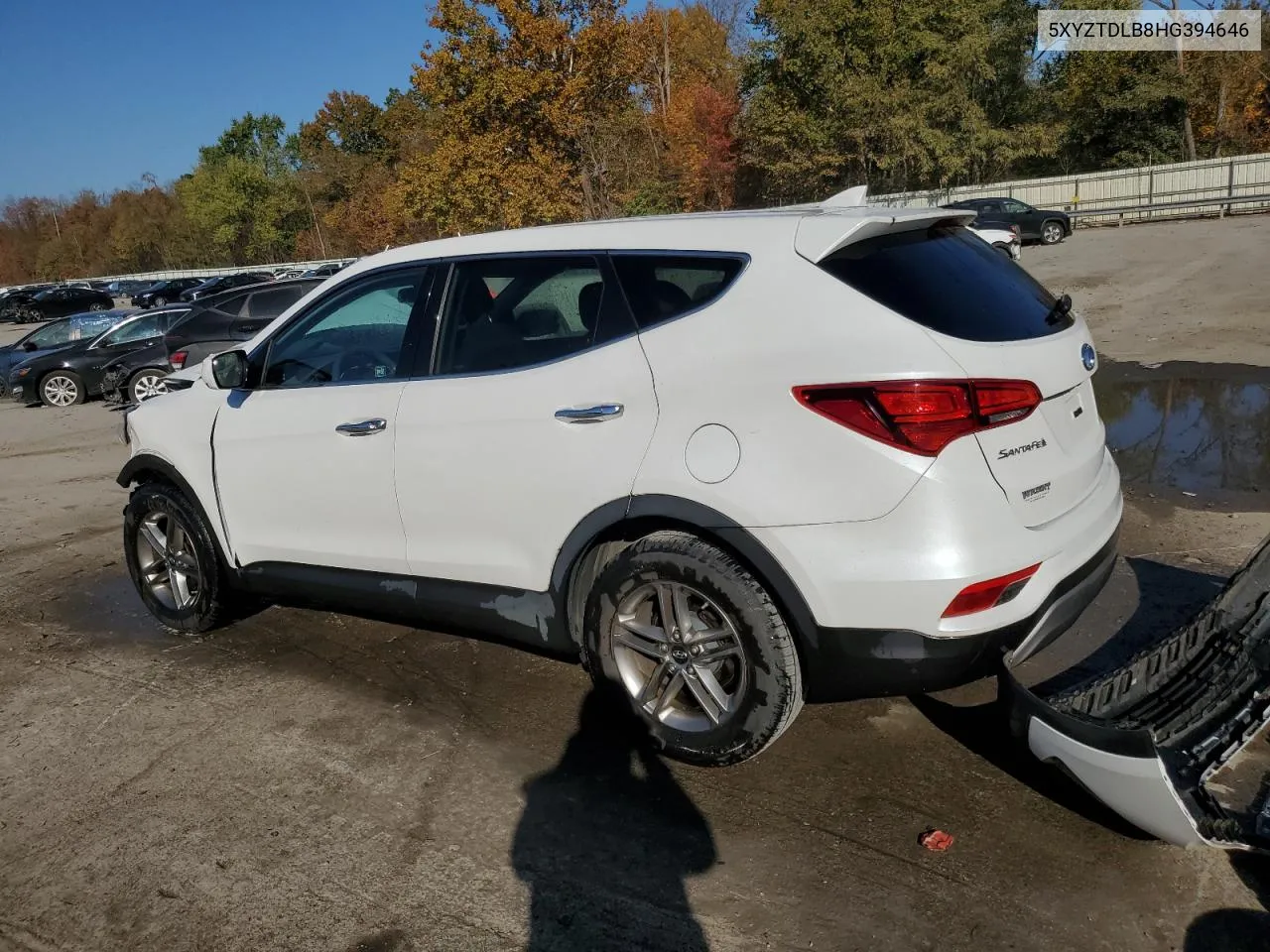 2017 Hyundai Santa Fe Sport VIN: 5XYZTDLB8HG394646 Lot: 76889744