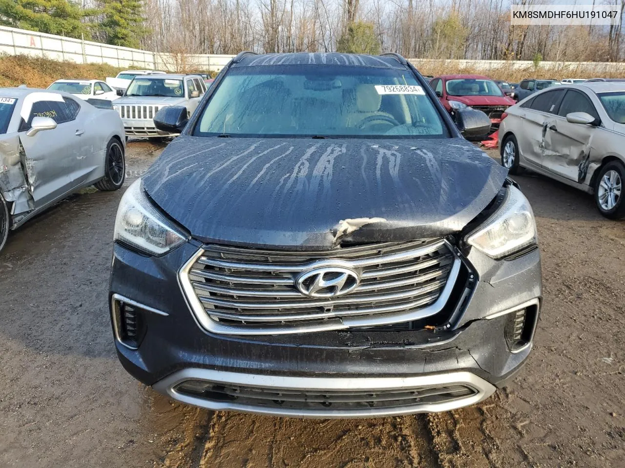 2017 Hyundai Santa Fe Se VIN: KM8SMDHF6HU191047 Lot: 79268834