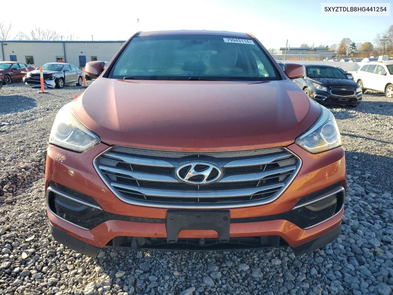 2017 Hyundai Santa Fe Sport VIN: 5XYZTDLB8HG441254 Lot: 79943114