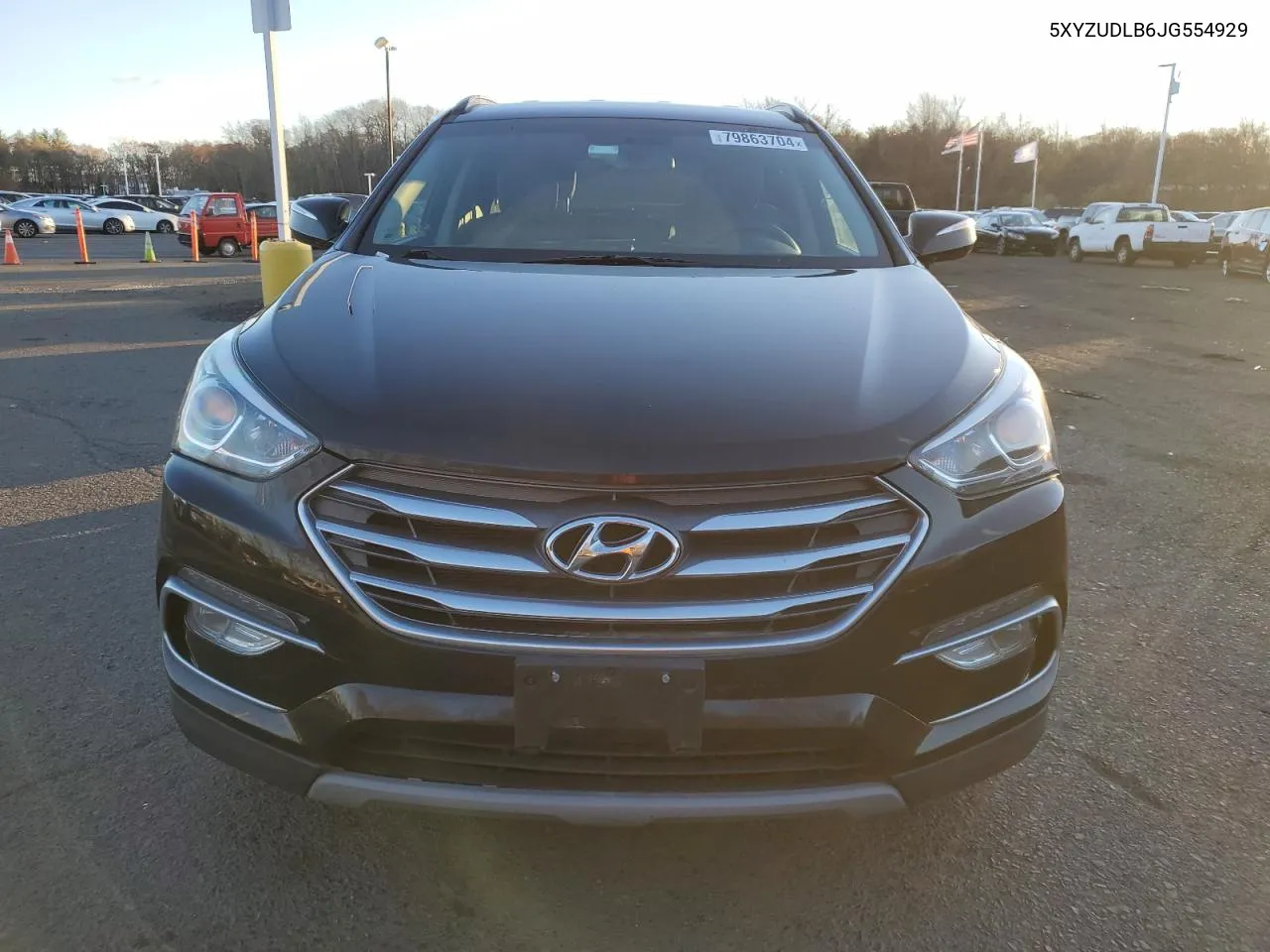 2018 Hyundai Santa Fe Sport VIN: 5XYZUDLB6JG554929 Lot: 79863704