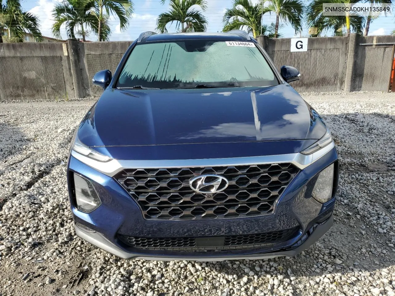 2019 Hyundai Santa Fe Limited VIN: 5NMS5CAD0KH135849 Lot: 61134664