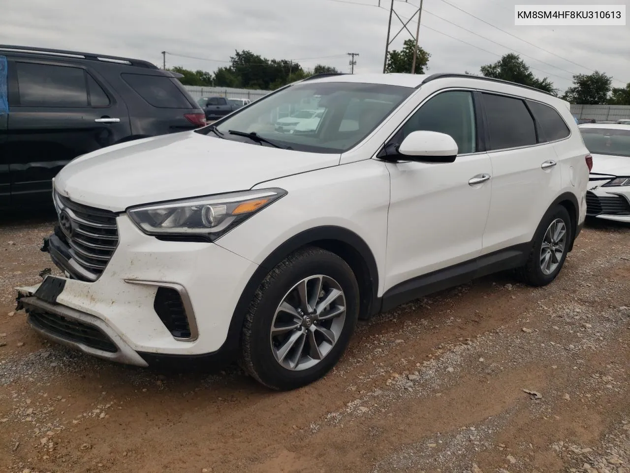 2019 Hyundai Santa Fe Xl Se VIN: KM8SM4HF8KU310613 Lot: 72131464