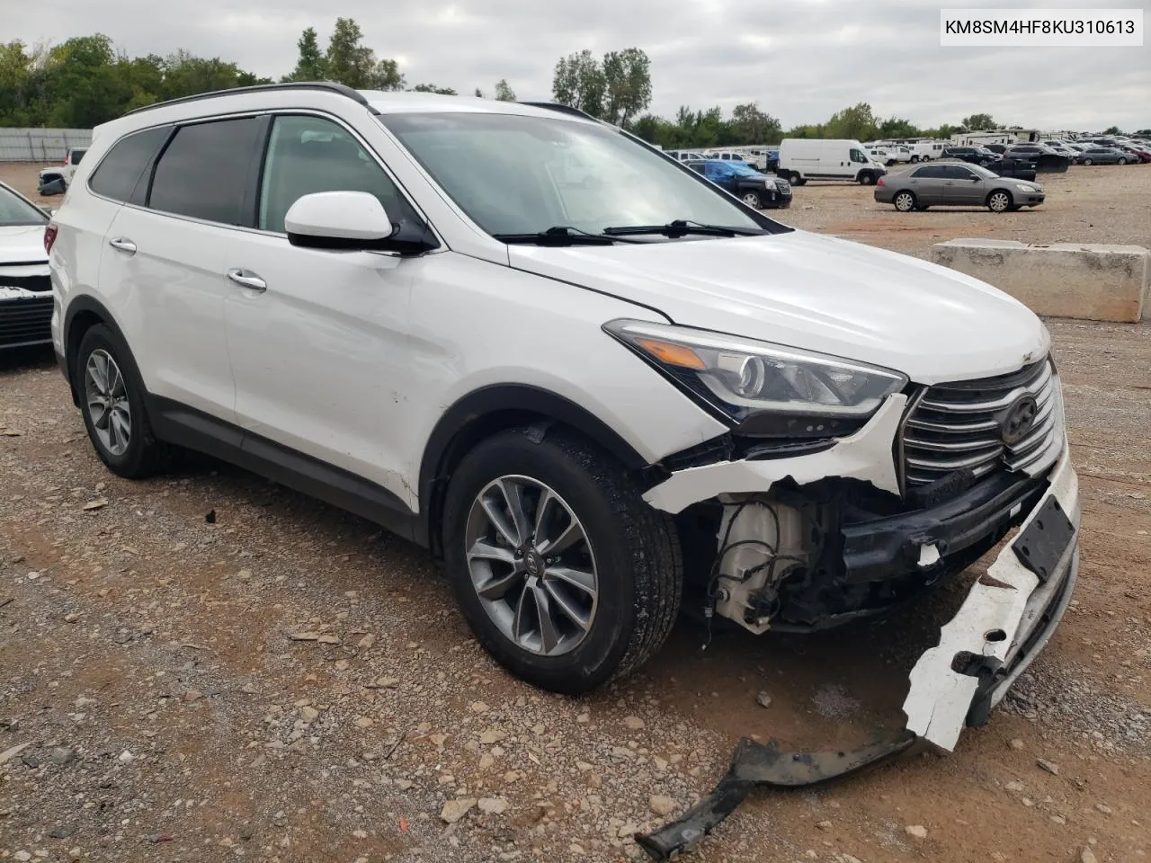 2019 Hyundai Santa Fe Xl Se VIN: KM8SM4HF8KU310613 Lot: 72131464