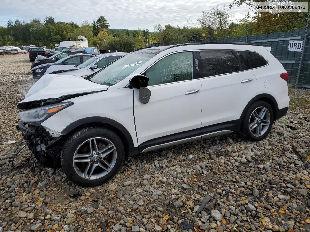 2019 Hyundai Santa Fe Xl Se Ultimate VIN: KM8SRDHF0KU309473 Lot: 72771804