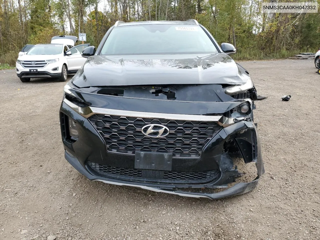 2019 Hyundai Santa Fe Sel VIN: 5NMS3CAA0KH047332 Lot: 75565744