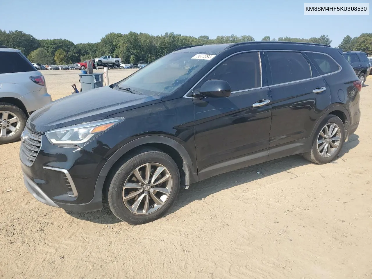 2019 Hyundai Santa Fe Xl Se VIN: KM8SM4HF5KU308530 Lot: 75674384