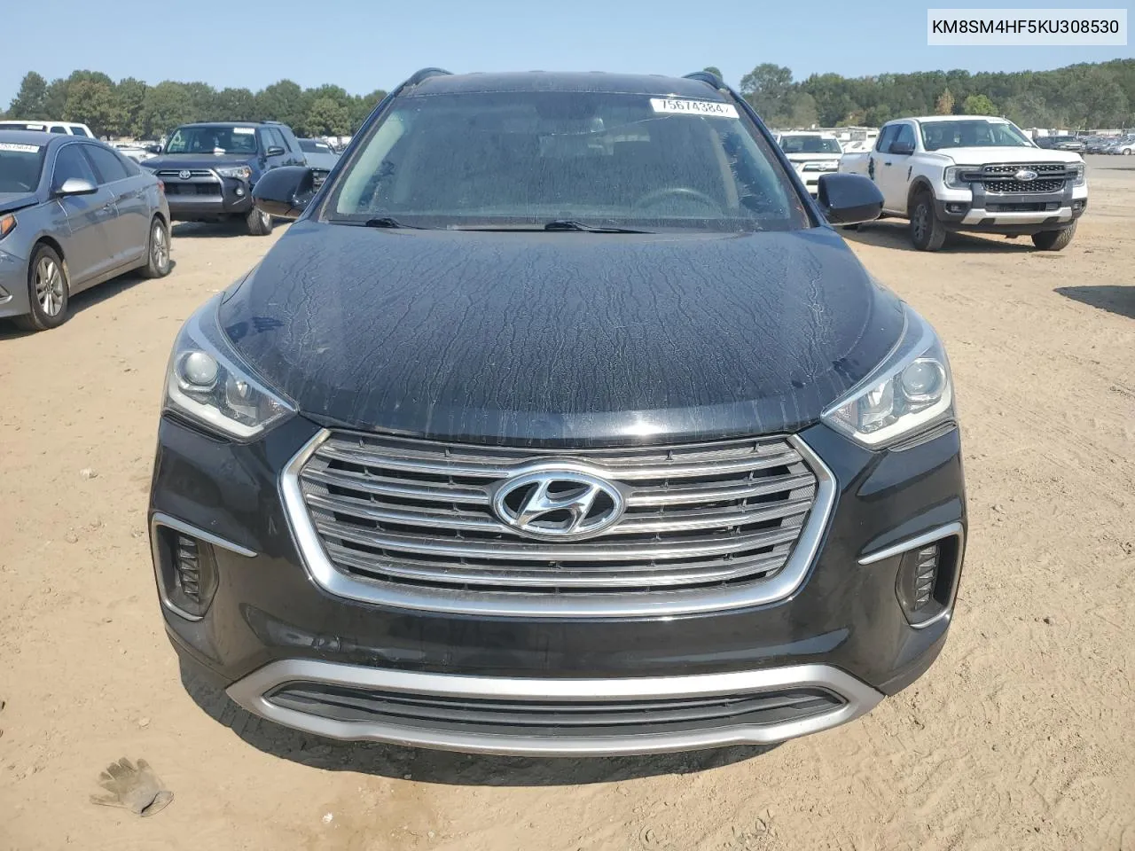 2019 Hyundai Santa Fe Xl Se VIN: KM8SM4HF5KU308530 Lot: 75674384