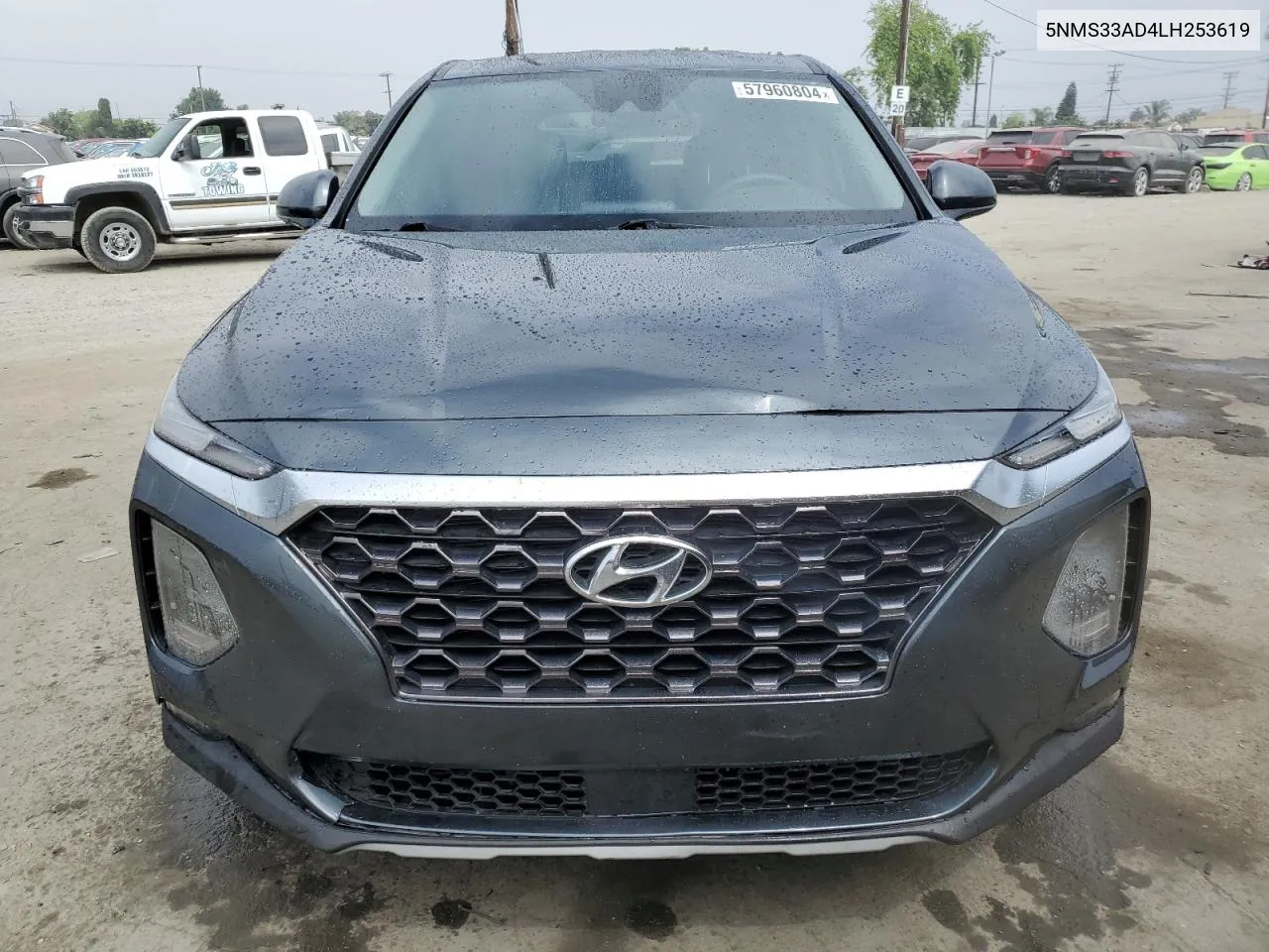 2020 Hyundai Santa Fe Sel VIN: 5NMS33AD4LH253619 Lot: 57960804