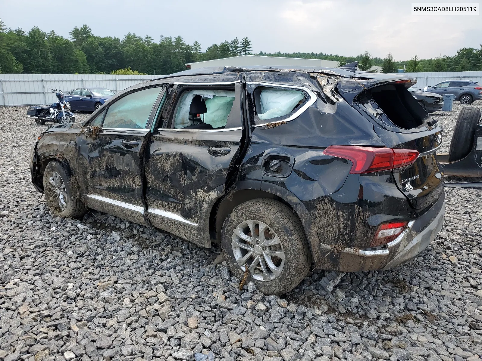 2020 Hyundai Santa Fe Sel VIN: 5NMS3CAD8LH205119 Lot: 62350824