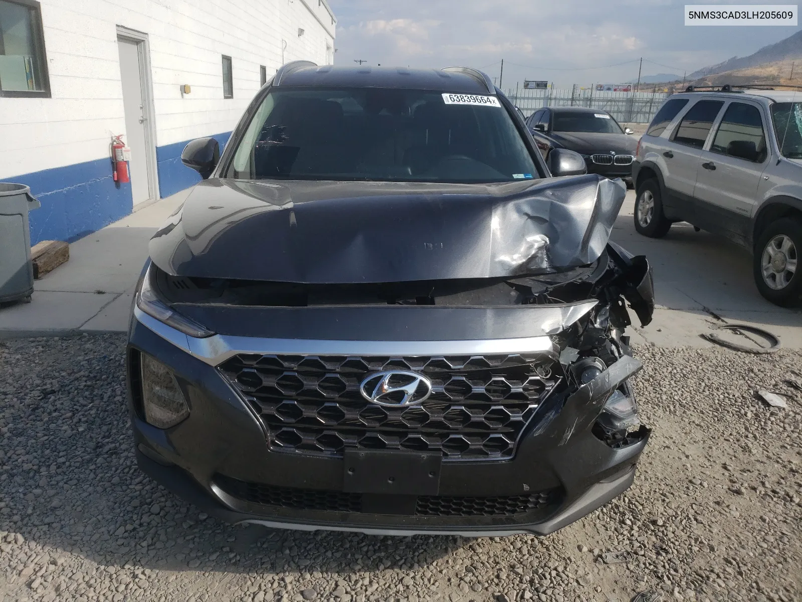 2020 Hyundai Santa Fe Sel VIN: 5NMS3CAD3LH205609 Lot: 63839664