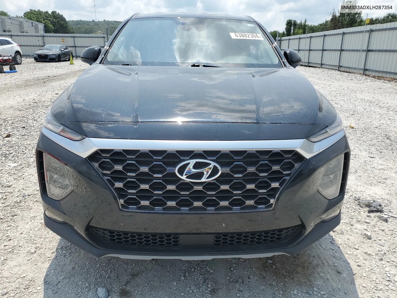 2020 Hyundai Santa Fe Sel VIN: 5NMS33ADXLH287354 Lot: 63882304