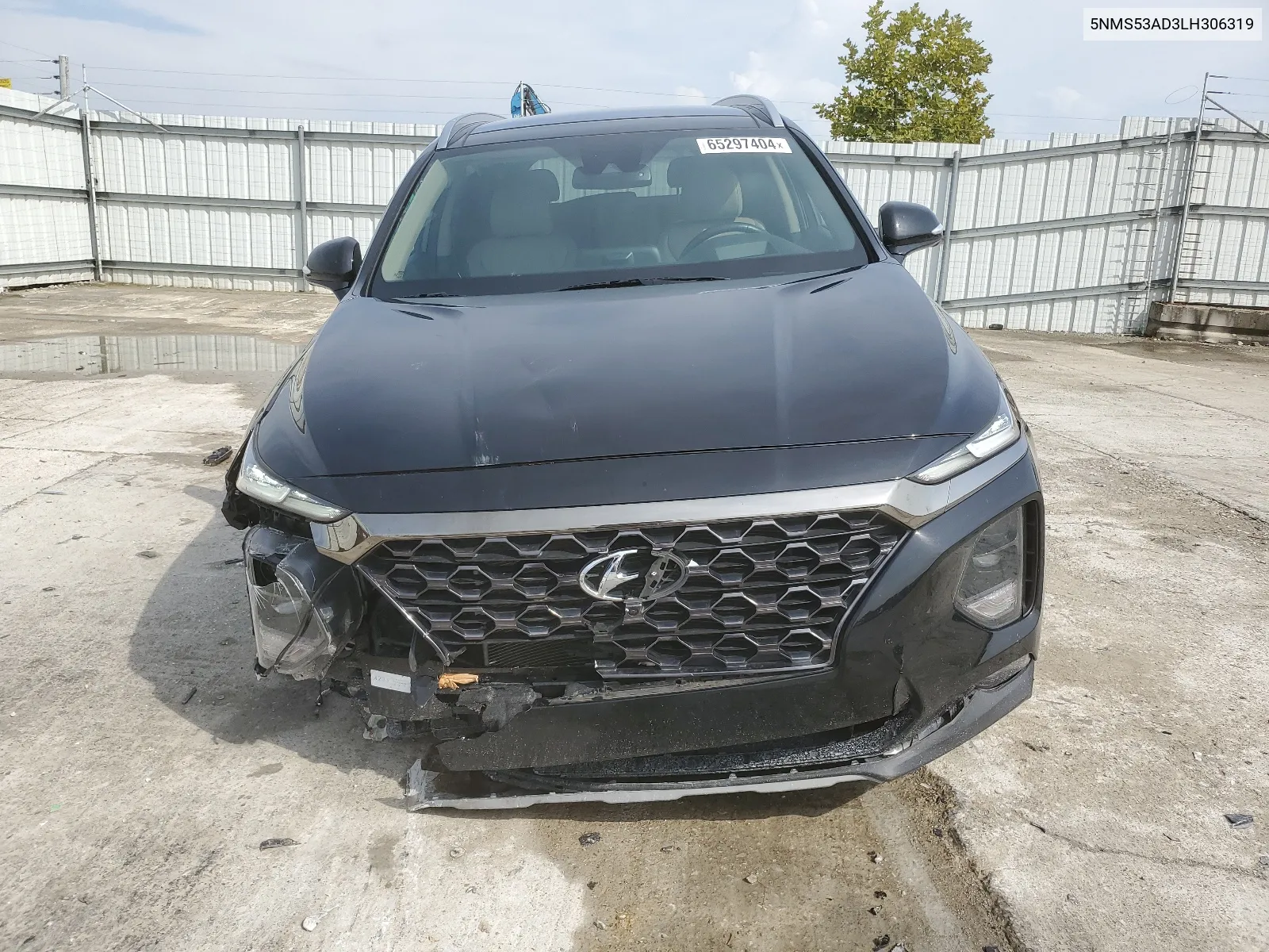 2020 Hyundai Santa Fe Limited VIN: 5NMS53AD3LH306319 Lot: 65297404