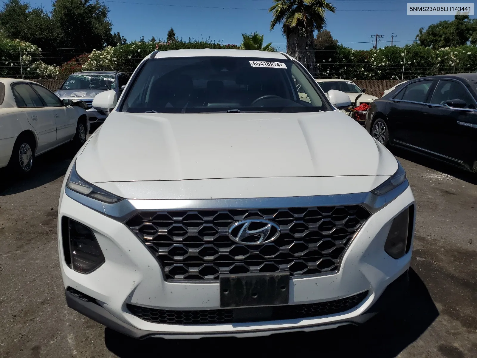 2020 Hyundai Santa Fe Se VIN: 5NMS23AD5LH143441 Lot: 65418974