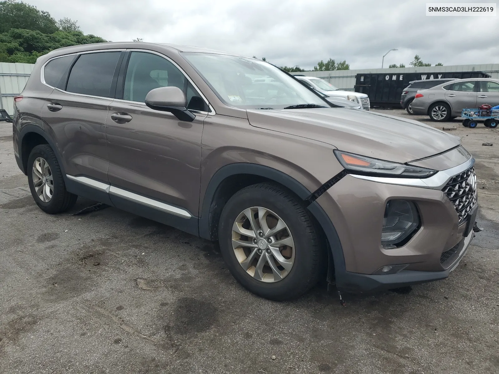 2020 Hyundai Santa Fe Sel VIN: 5NMS3CAD3LH222619 Lot: 66388814