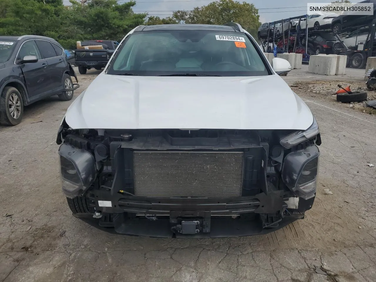 2020 Hyundai Santa Fe Sel VIN: 5NMS3CAD8LH305852 Lot: 69702894