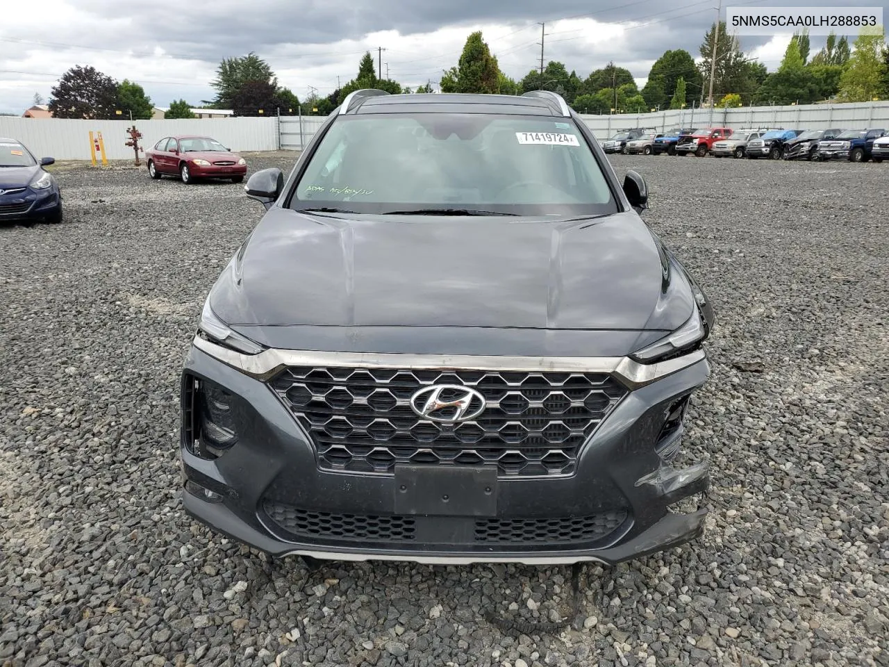 2020 Hyundai Santa Fe Limited VIN: 5NMS5CAA0LH288853 Lot: 71419724