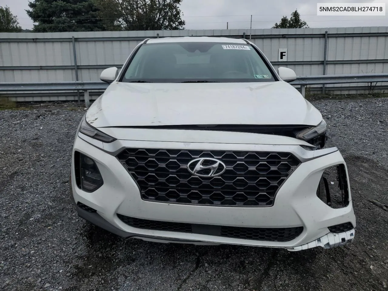 2020 Hyundai Santa Fe Se VIN: 5NMS2CAD8LH274718 Lot: 74187244