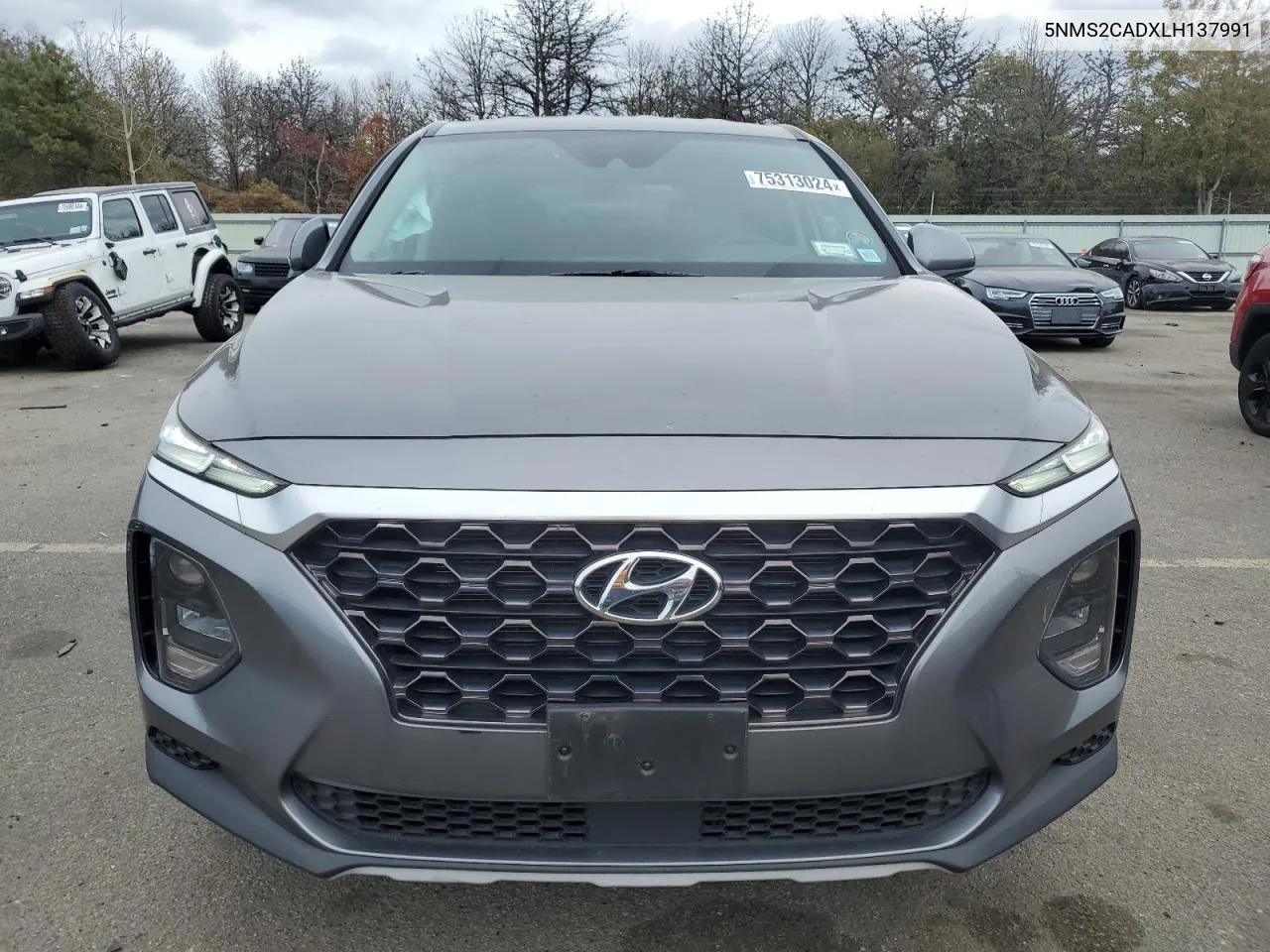 2020 Hyundai Santa Fe Se VIN: 5NMS2CADXLH137991 Lot: 75313024