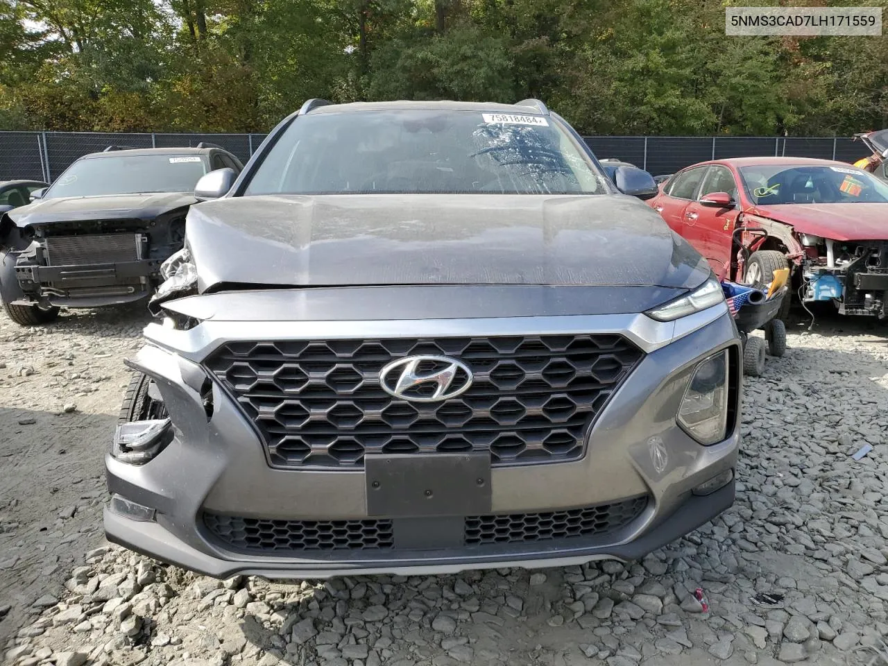 2020 Hyundai Santa Fe Sel VIN: 5NMS3CAD7LH171559 Lot: 75818484