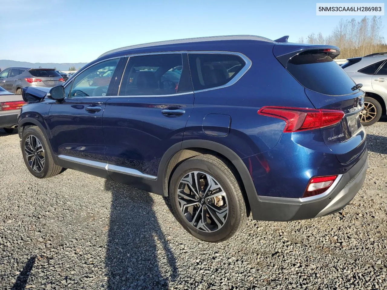 2020 Hyundai Santa Fe Sel VIN: 5NMS3CAA6LH286983 Lot: 79209844