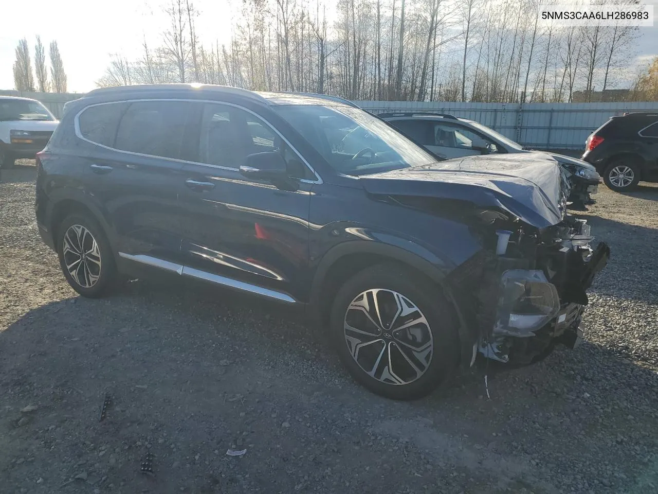 2020 Hyundai Santa Fe Sel VIN: 5NMS3CAA6LH286983 Lot: 79209844