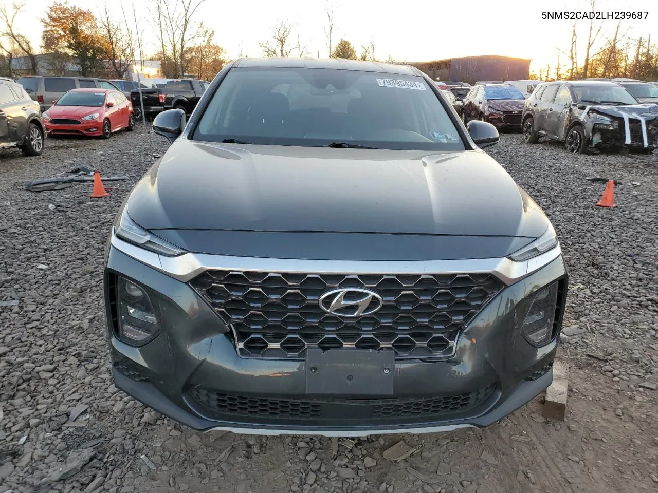 2020 Hyundai Santa Fe Se VIN: 5NMS2CAD2LH239687 Lot: 79395434