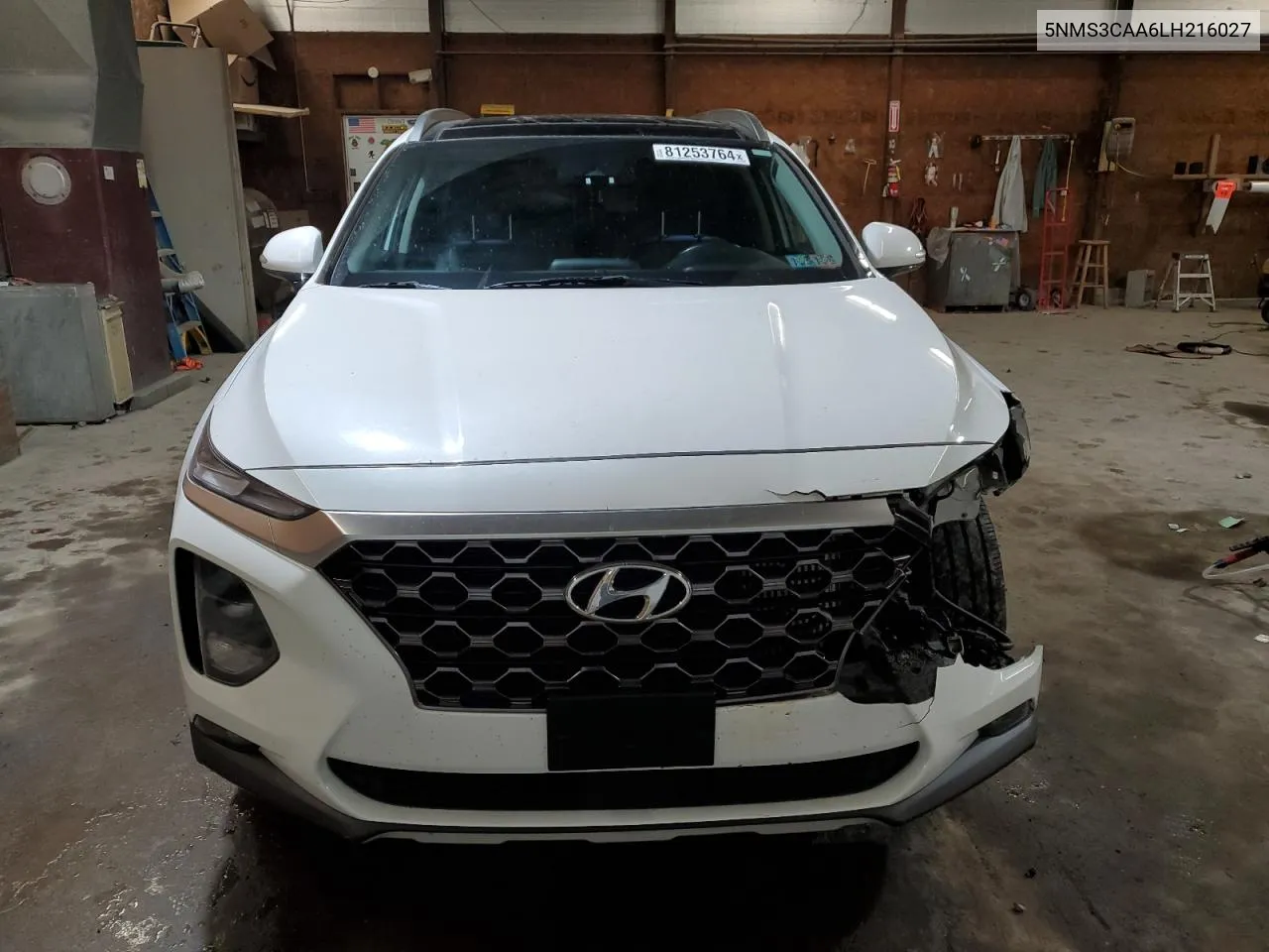 2020 Hyundai Santa Fe Sel VIN: 5NMS3CAA6LH216027 Lot: 81253764