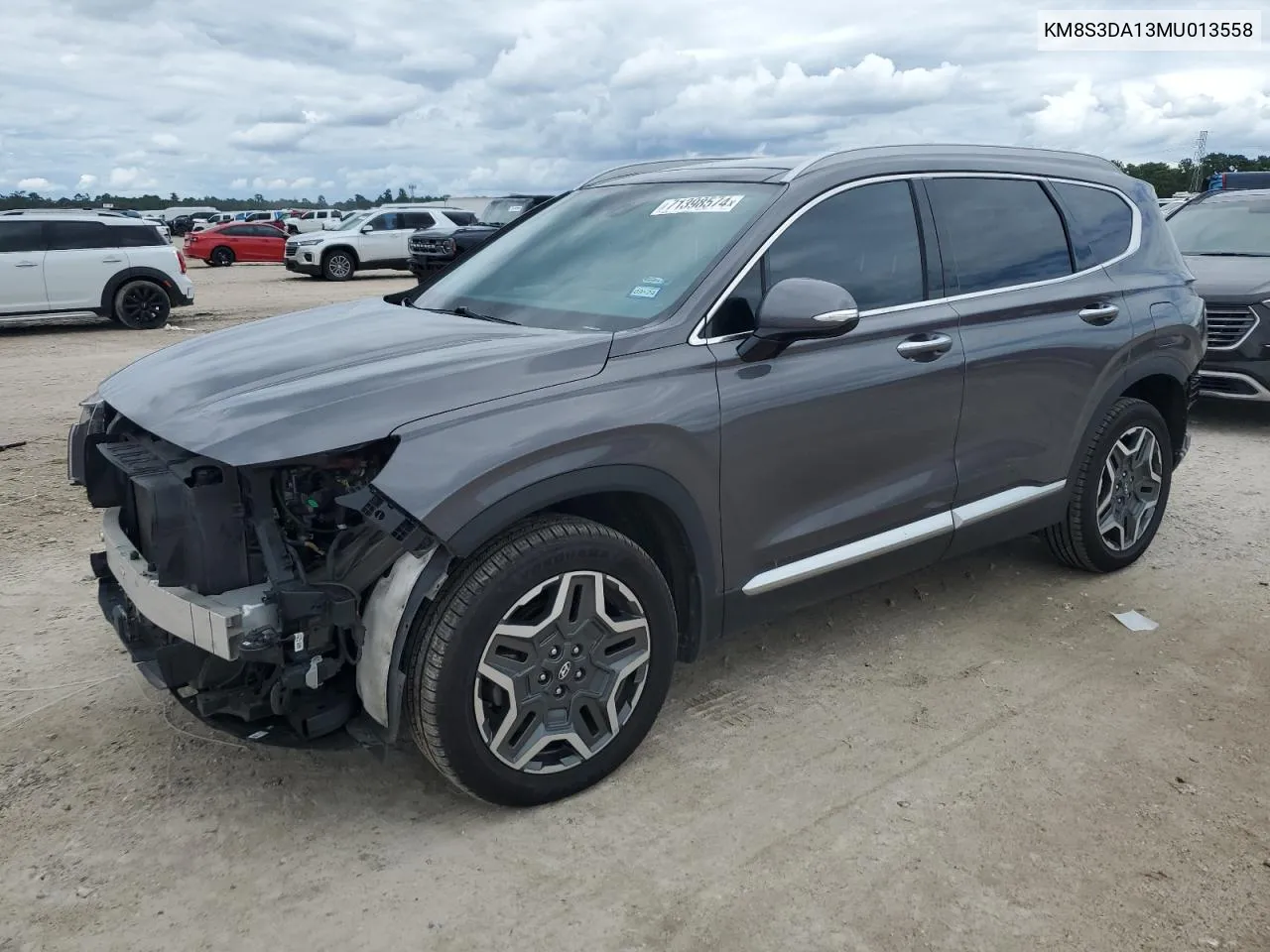 2021 Hyundai Santa Fe Sel Premium VIN: KM8S3DA13MU013558 Lot: 71398574