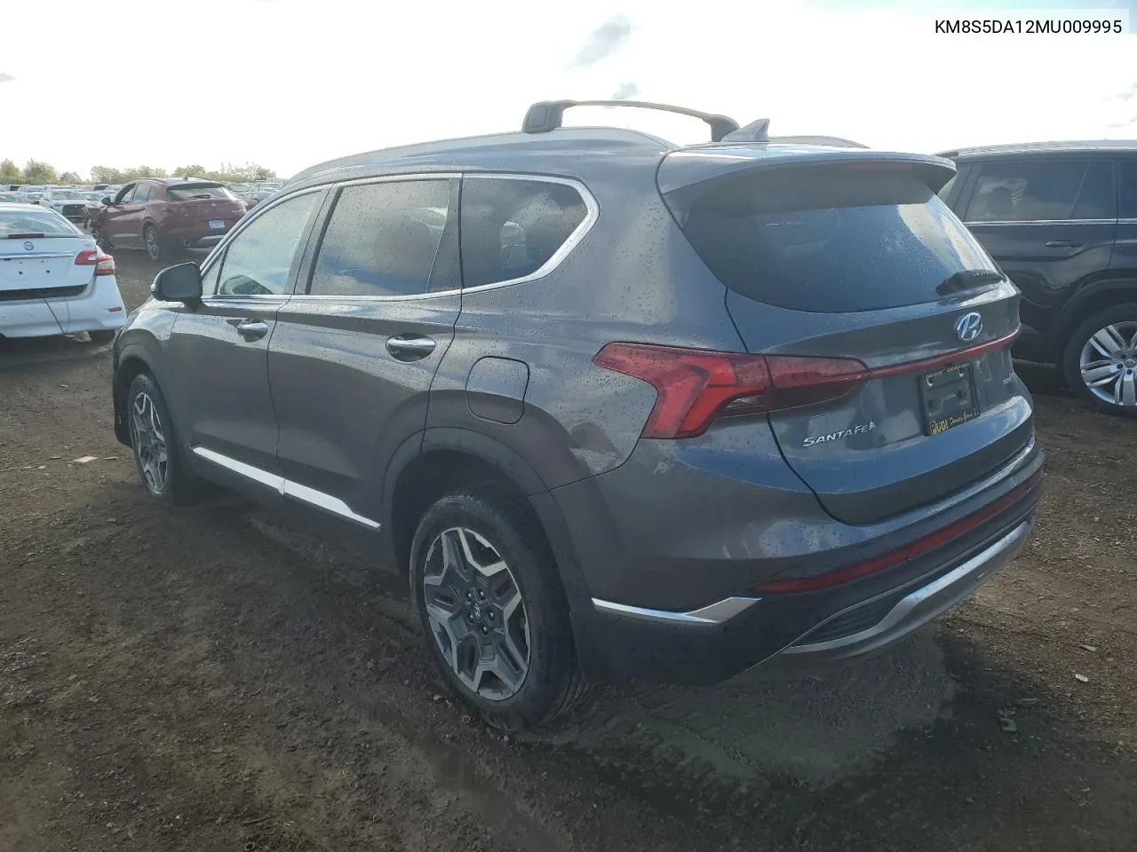 2021 Hyundai Santa Fe Limited VIN: KM8S5DA12MU009995 Lot: 75849194