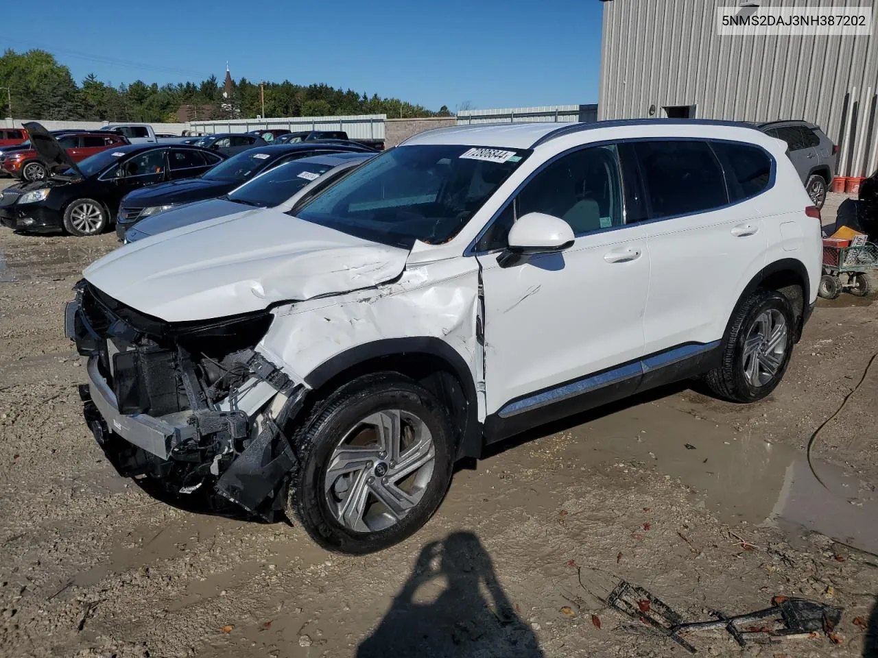 2022 Hyundai Santa Fe Sel VIN: 5NMS2DAJ3NH387202 Lot: 72806844