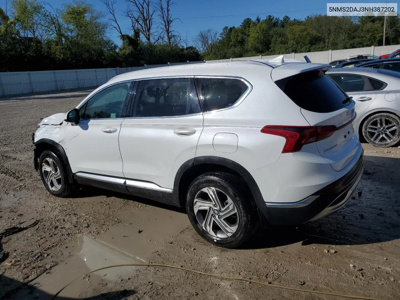 2022 Hyundai Santa Fe Sel VIN: 5NMS2DAJ3NH387202 Lot: 72806844