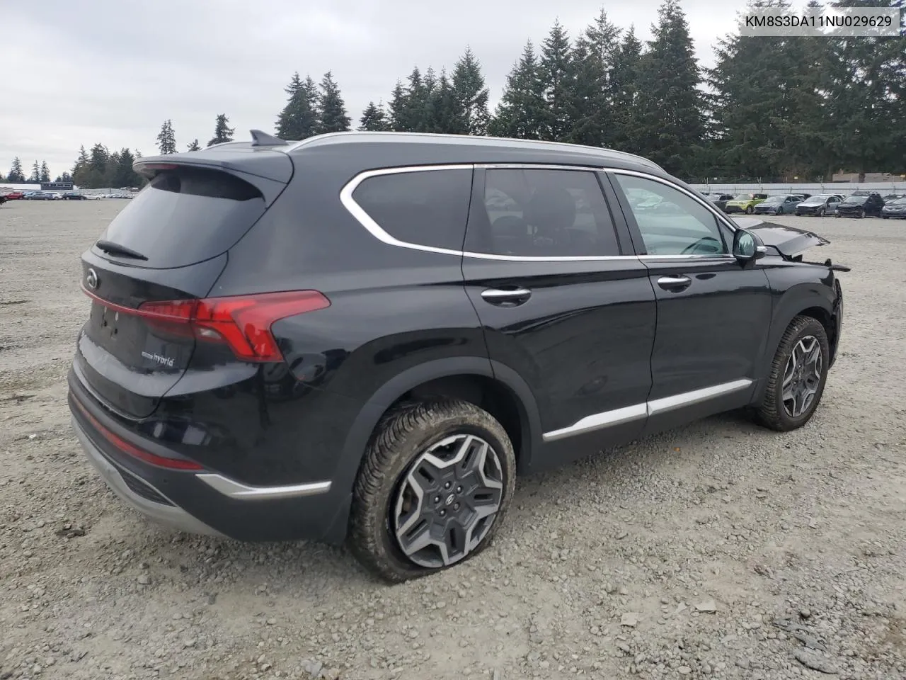 2022 Hyundai Santa Fe Sel Premium VIN: KM8S3DA11NU029629 Lot: 75606294