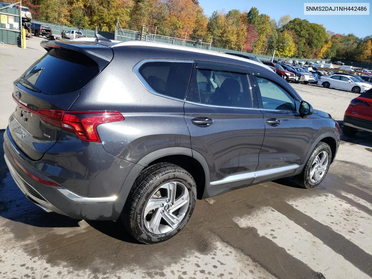 2022 Hyundai Santa Fe Sel VIN: 5NMS2DAJ1NH442486 Lot: 76189384