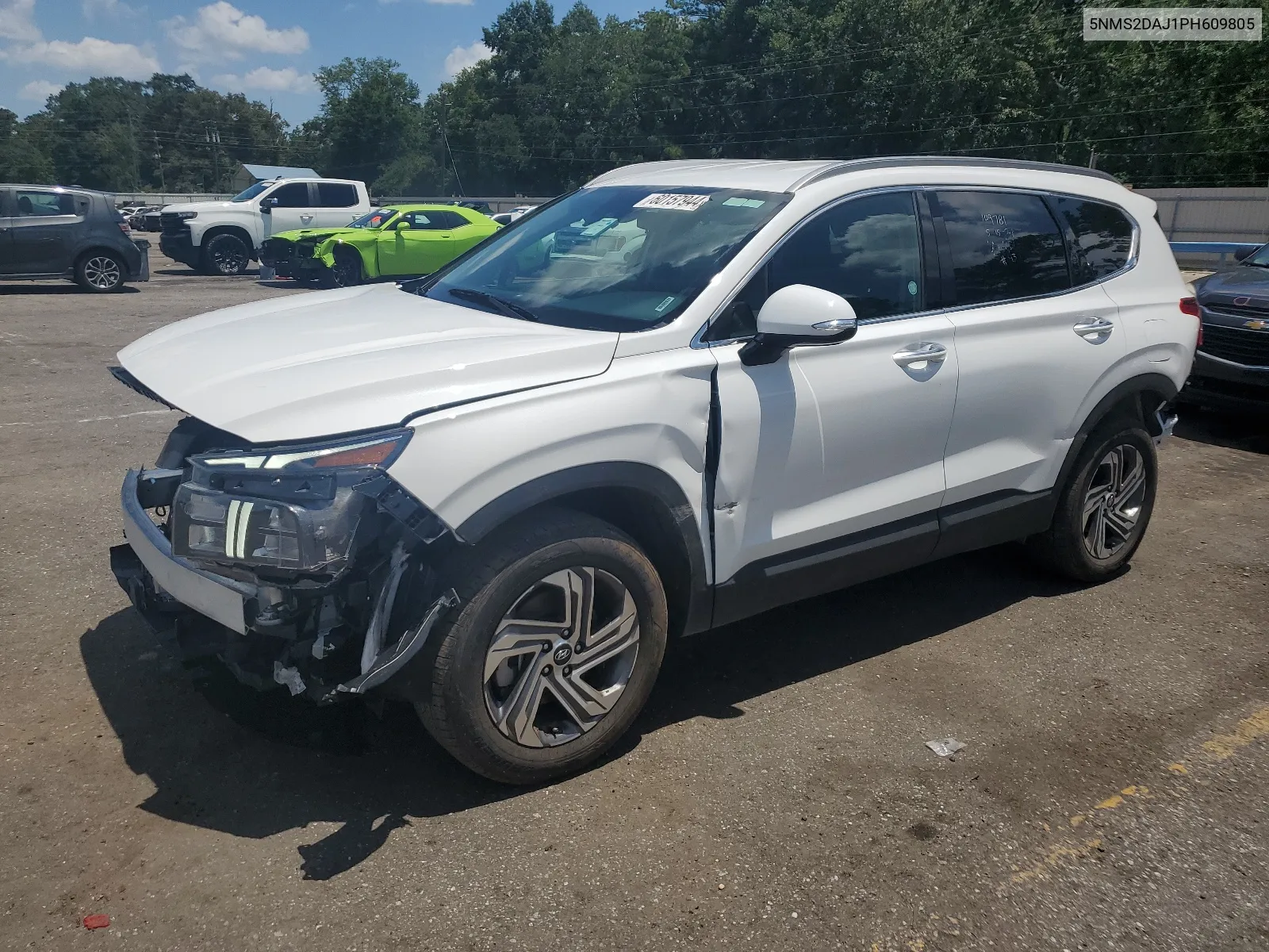 2023 Hyundai Santa Fe Sel VIN: 5NMS2DAJ1PH609805 Lot: 60157944