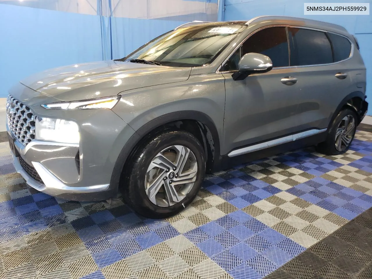 2023 Hyundai Santa Fe Sel Premium VIN: 5NMS34AJ2PH559929 Lot: 74120564