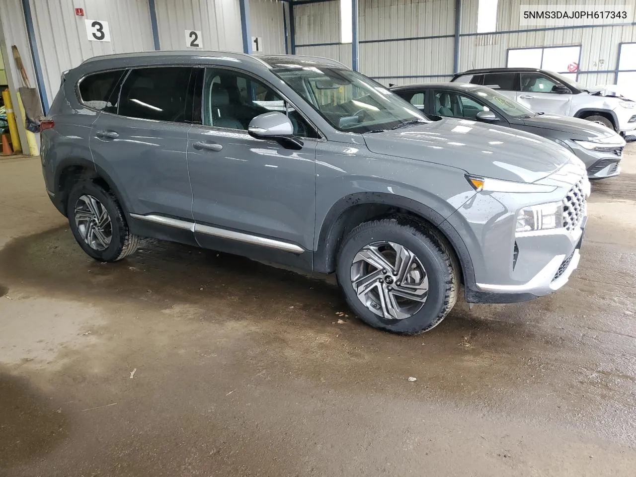 2023 Hyundai Santa Fe Sel Premium VIN: 5NMS3DAJ0PH617343 Lot: 76974804