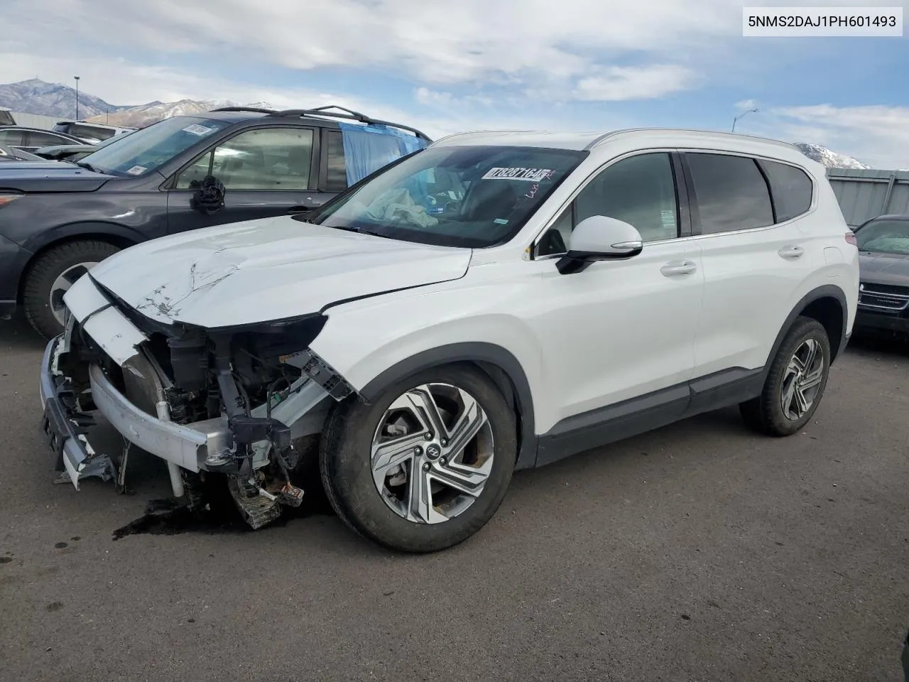 2023 Hyundai Santa Fe Sel VIN: 5NMS2DAJ1PH601493 Lot: 78287164