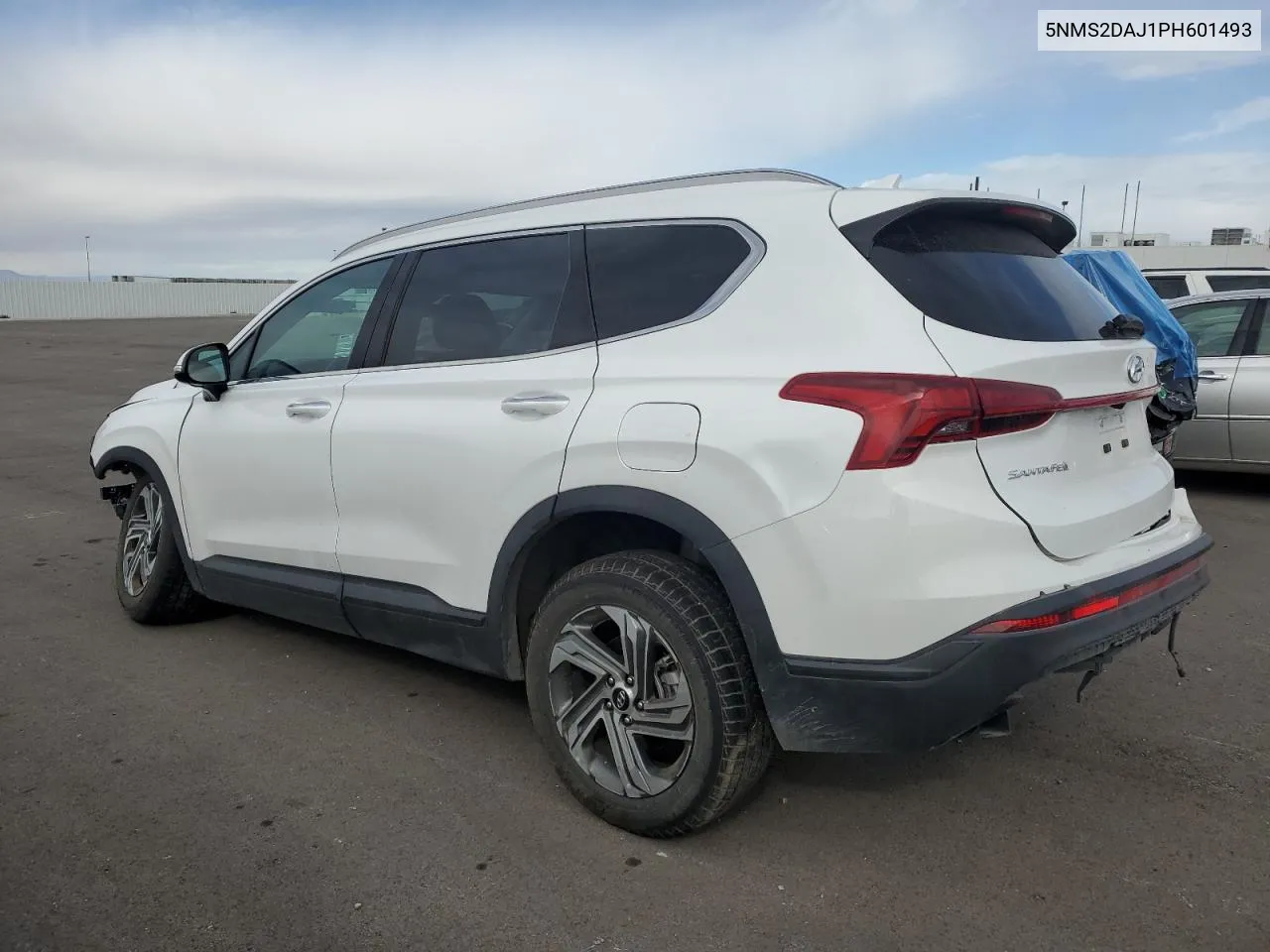 2023 Hyundai Santa Fe Sel VIN: 5NMS2DAJ1PH601493 Lot: 78287164