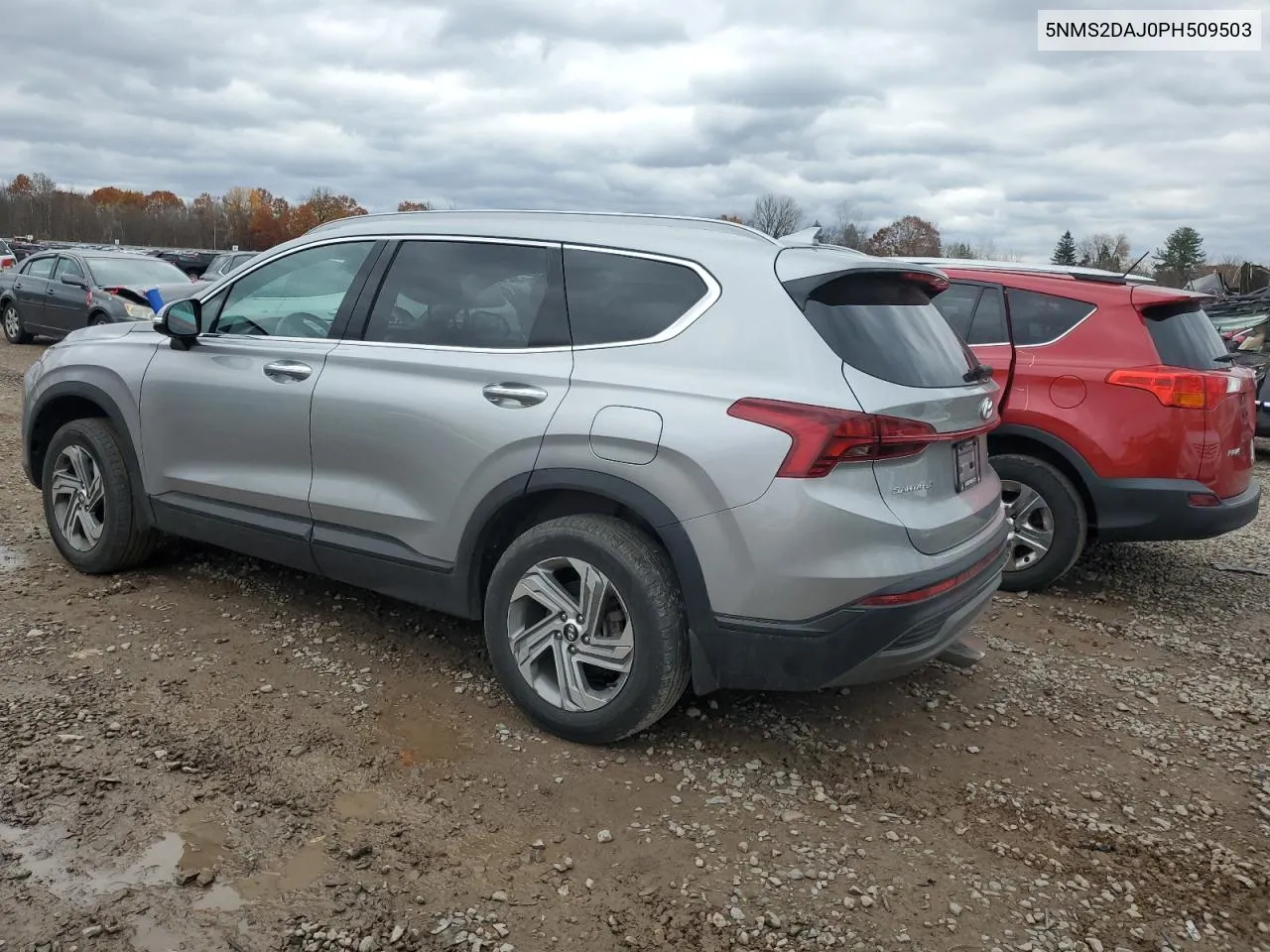 2023 Hyundai Santa Fe Sel VIN: 5NMS2DAJ0PH509503 Lot: 79048834