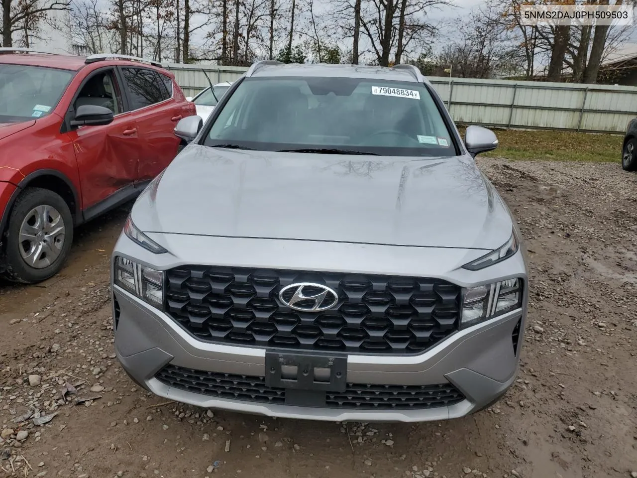 2023 Hyundai Santa Fe Sel VIN: 5NMS2DAJ0PH509503 Lot: 79048834