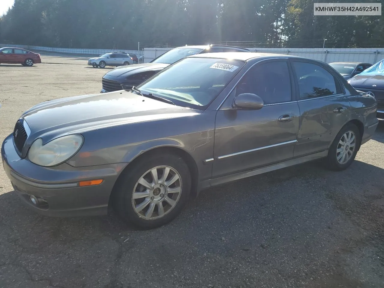 2002 Hyundai Sonata Gls VIN: KMHWF35H42A692541 Lot: 75359064