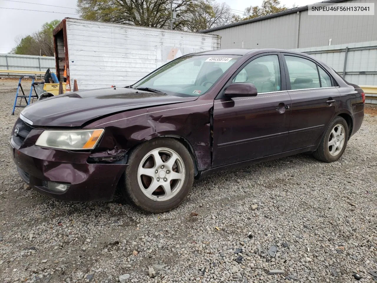 2006 Hyundai Sonata Gls VIN: 5NPEU46F56H137041 Lot: 49438814