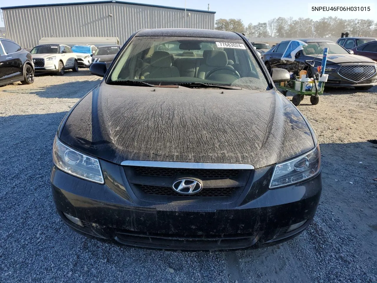 2006 Hyundai Sonata Gls VIN: 5NPEU46F06H031015 Lot: 77683024