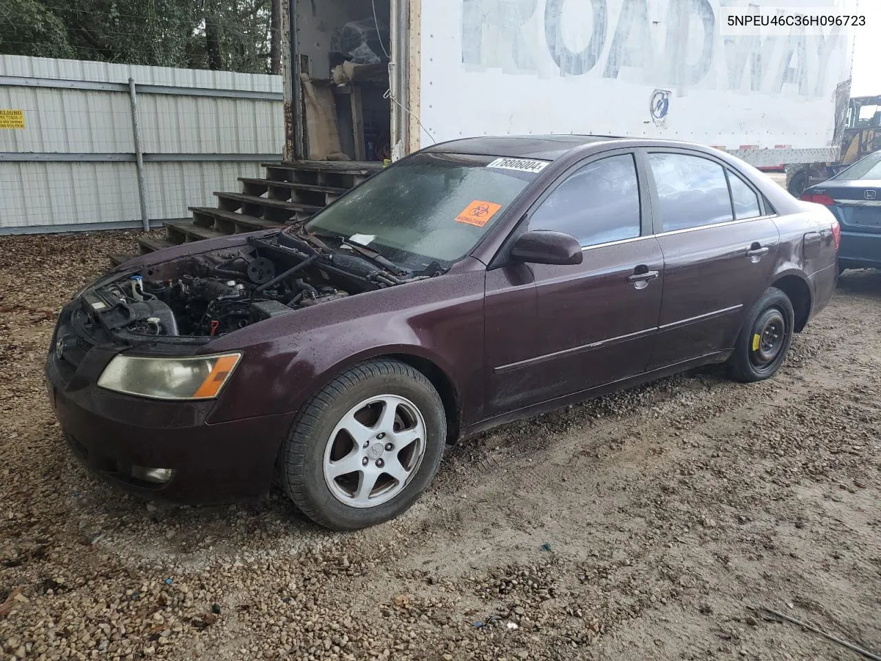 2006 Hyundai Sonata Gls VIN: 5NPEU46C36H096723 Lot: 78806004