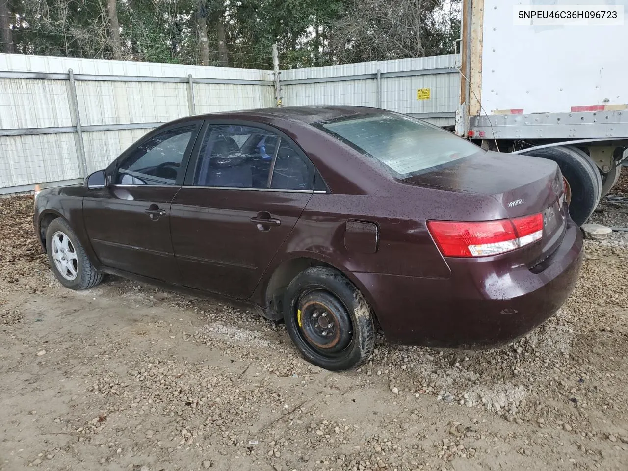 2006 Hyundai Sonata Gls VIN: 5NPEU46C36H096723 Lot: 78806004