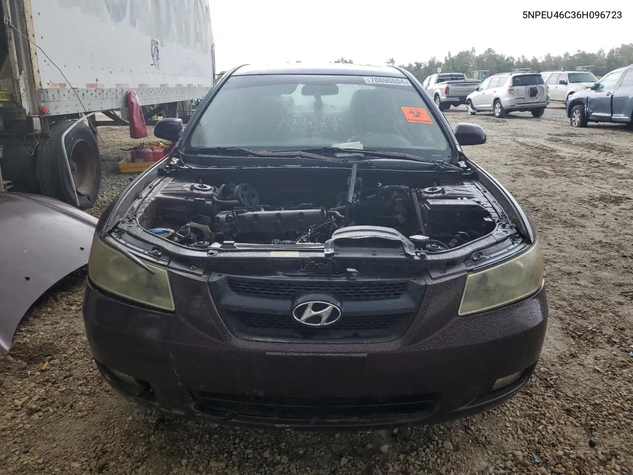 2006 Hyundai Sonata Gls VIN: 5NPEU46C36H096723 Lot: 78806004