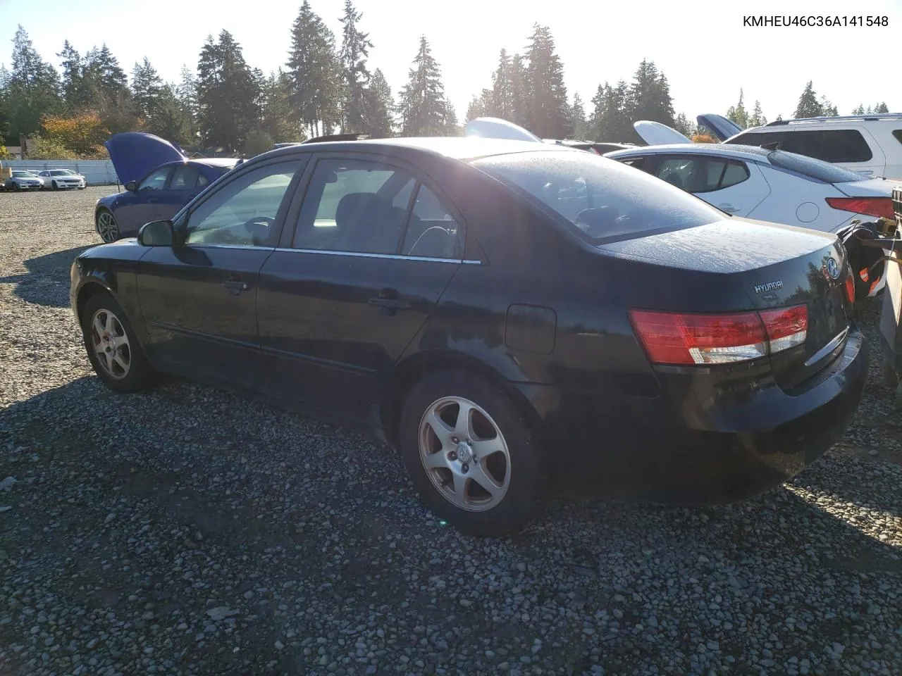 2006 Hyundai Sonata Gls VIN: KMHEU46C36A141548 Lot: 79129134