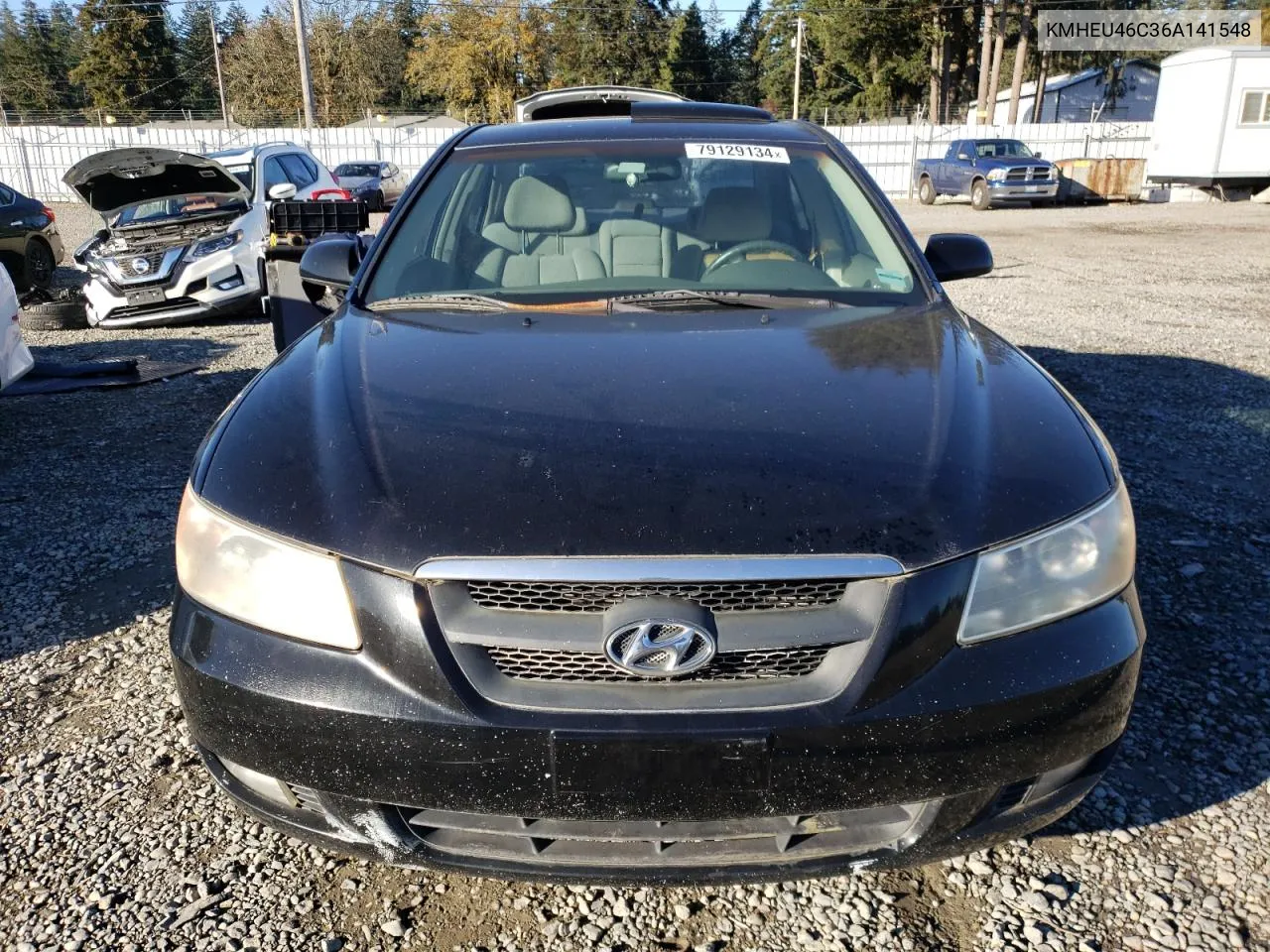 2006 Hyundai Sonata Gls VIN: KMHEU46C36A141548 Lot: 79129134